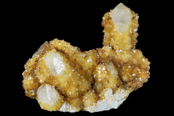 Sunshine Cactus Quartz Crystal Cluster - South Africa #115166